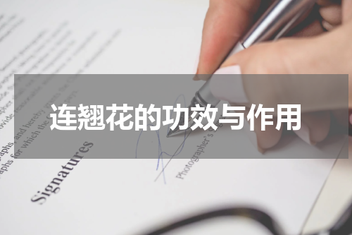 连翘花的功效与作用