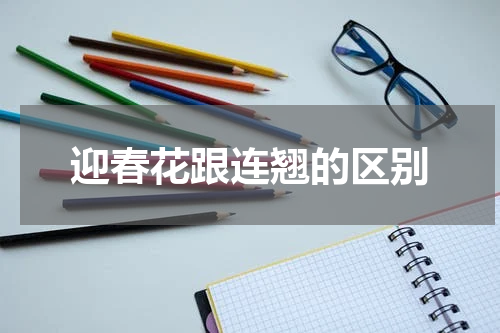 迎春花跟连翘的区别