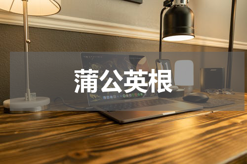 蒲公英根