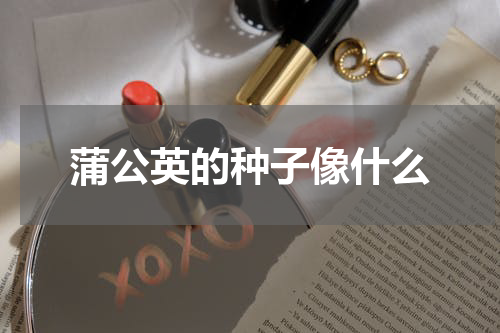 蒲公英的种子像什么