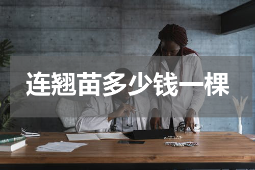 连翘苗多少钱一棵
