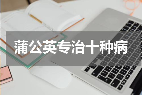 蒲公英专治十种病