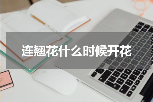 连翘花什么时候开花