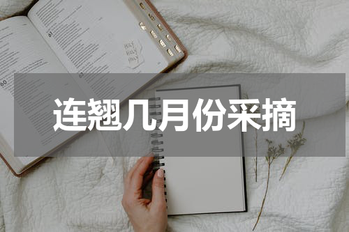 连翘几月份采摘