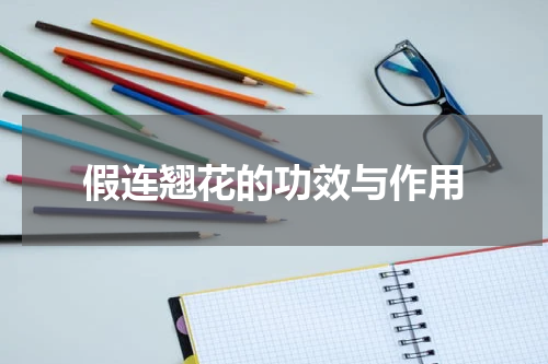 假连翘花的功效与作用