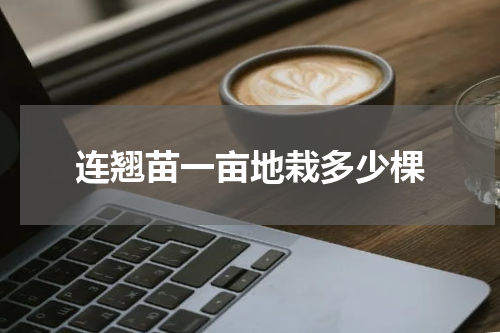 连翘苗一亩地栽多少棵