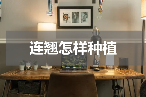连翘怎样种植