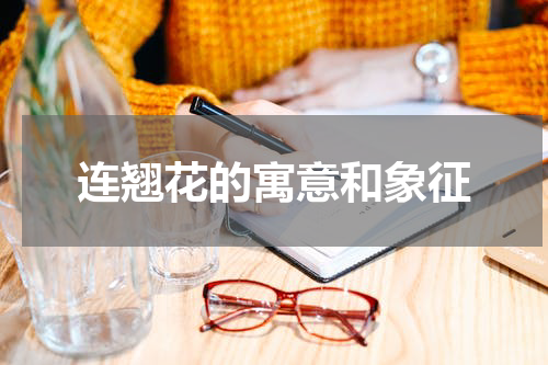 连翘花的寓意和象征