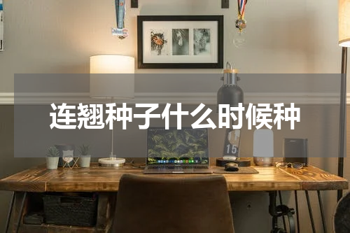 连翘种子什么时候种