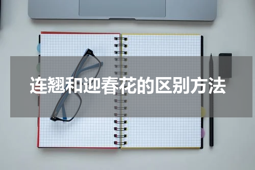 连翘和迎春花的区别方法