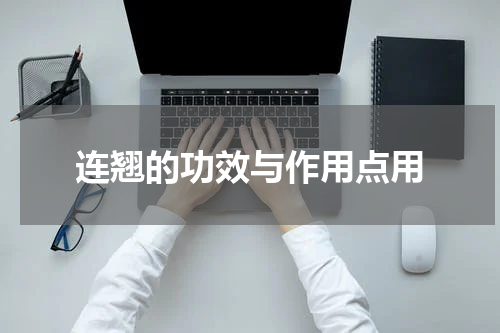 连翘的功效与作用点用