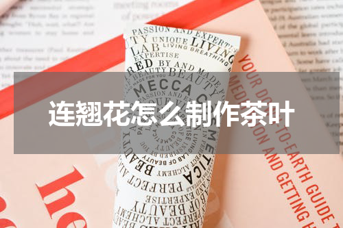 连翘花怎么制作茶叶