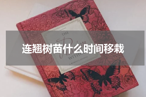 连翘树苗什么时间移栽