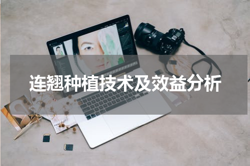 连翘种植技术及效益分析