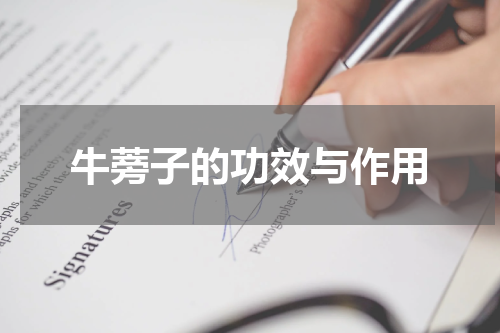牛蒡子的功效与作用