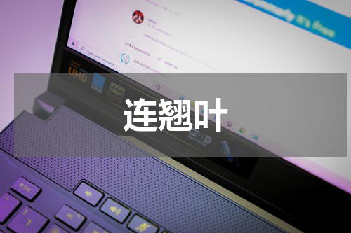 连翘叶