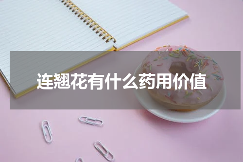 连翘花有什么药用价值