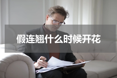 假连翘什么时候开花