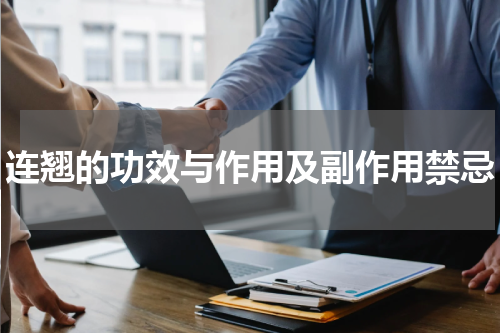 连翘的功效与作用及副作用禁忌
