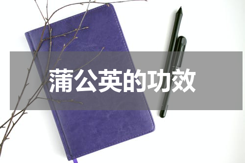 蒲公英的功效