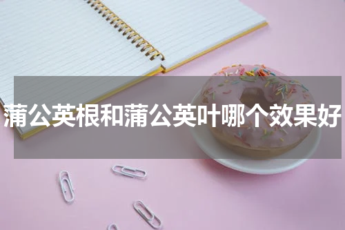 蒲公英根和蒲公英叶哪个效果好