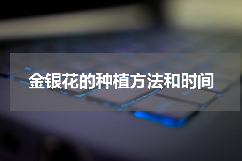 金银花的种植方法和时间