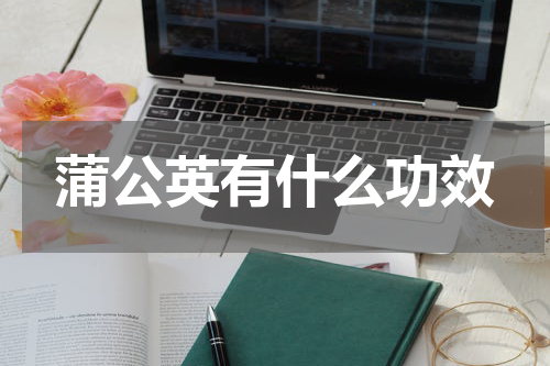 蒲公英有什么功效