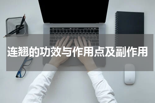 连翘的功效与作用点及副作用