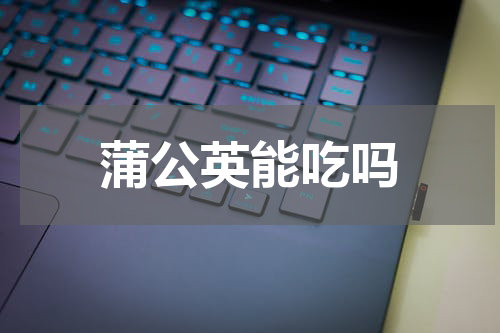 蒲公英能吃吗