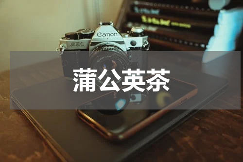 蒲公英茶