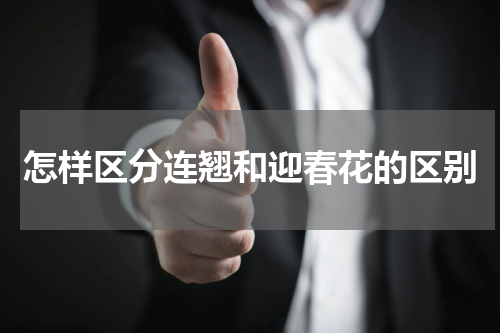 怎样区分连翘和迎春花的区别