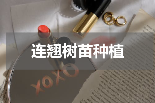 连翘树苗种植