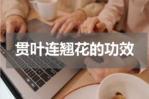 贯叶连翘花的功效