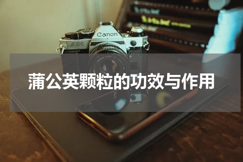 蒲公英颗粒的功效与作用