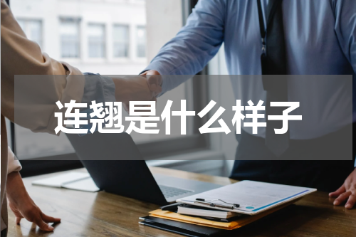 连翘是什么样子