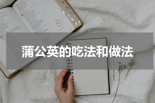 蒲公英的吃法和做法