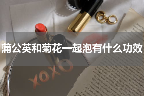 蒲公英和菊花一起泡有什么功效