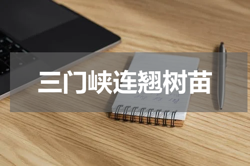 三门峡连翘树苗