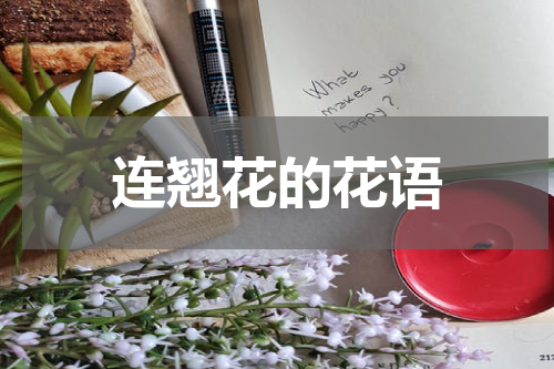 连翘花的花语