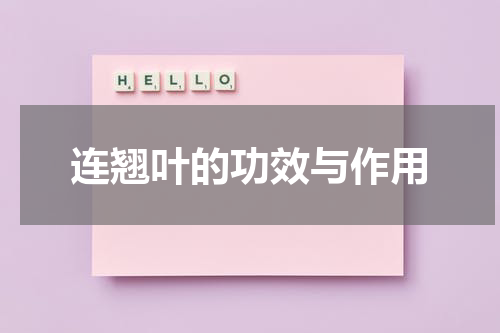连翘叶的功效与作用