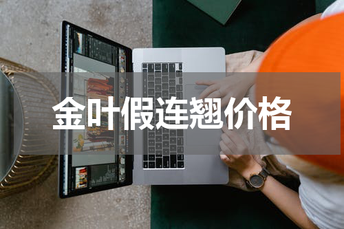 金叶假连翘价格