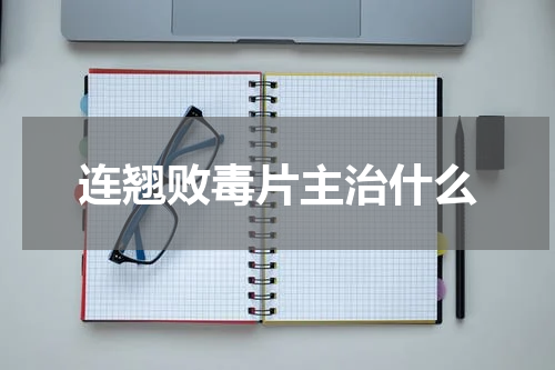 连翘败毒片主治什么