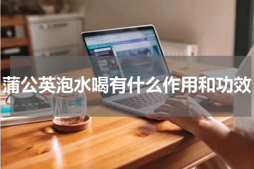 蒲公英泡水喝有什么作用和功效
