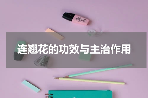 连翘花的功效与主治作用