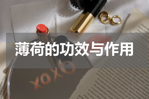 薄荷的功效与作用