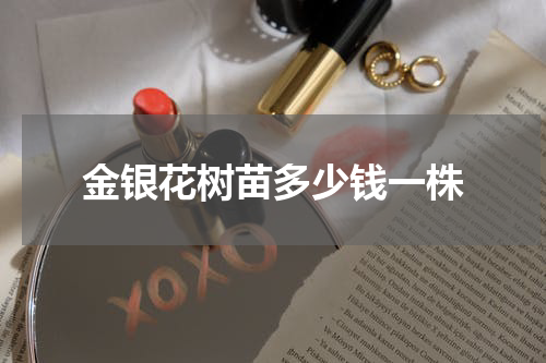 金银花树苗多少钱一株