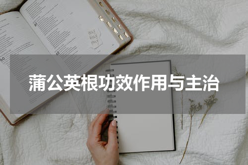 蒲公英根功效作用与主治