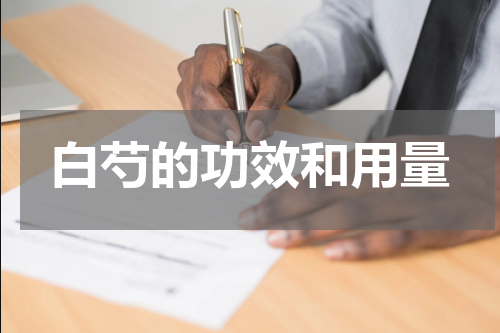 白芍的功效和用量