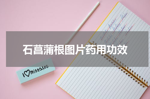 石菖蒲根图片药用功效