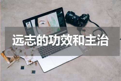 远志的功效和主治